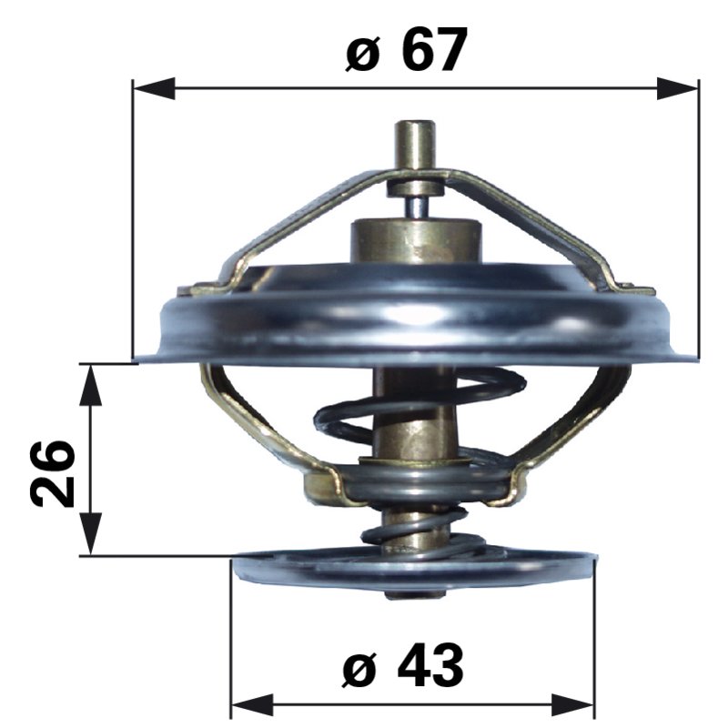 Thermostat 87 Grad anstelle von Steyr 131100040036