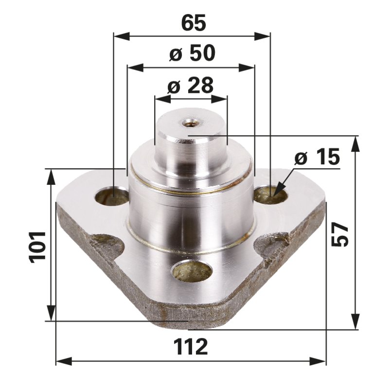 CARRARO Lagerbolzen unten 9968025