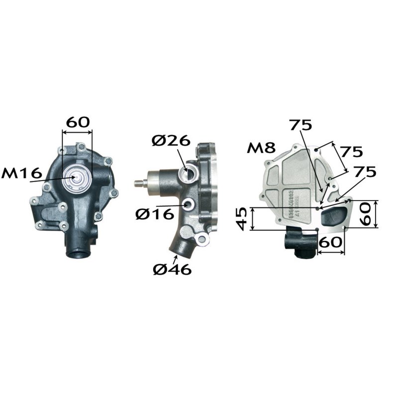 Wasserpumpe anstelle von Steyr 162084060704