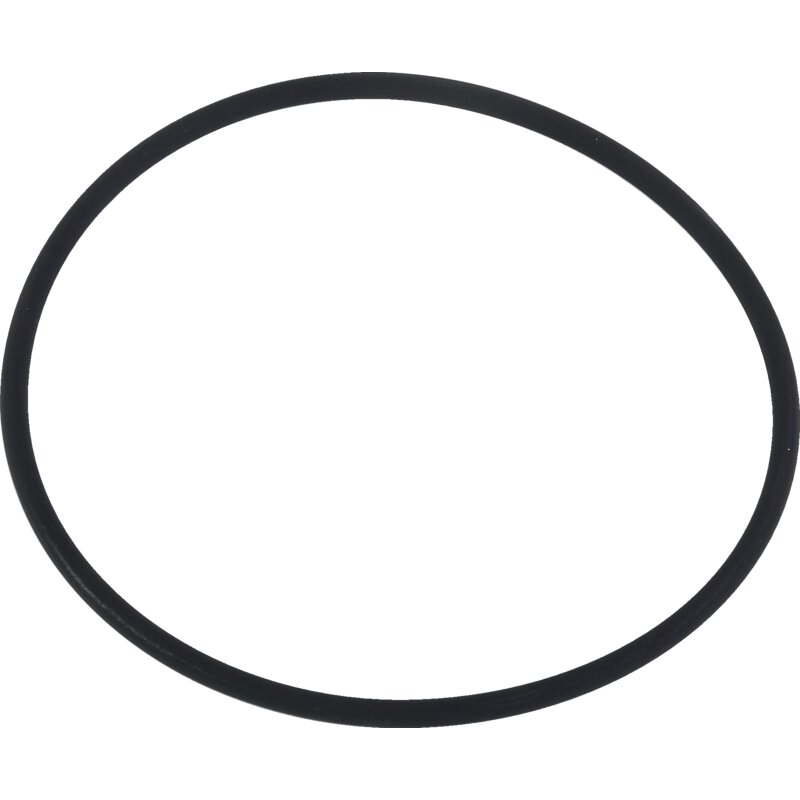 O-Ring anstelle von Steyr 190003120601