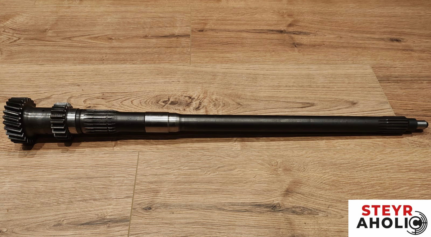 Neues Doppelstirnrad R=Z20 S=Z25 135700220028