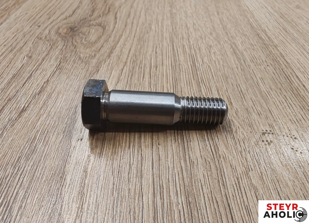 ZF Schraube / Passschraube 192310210041