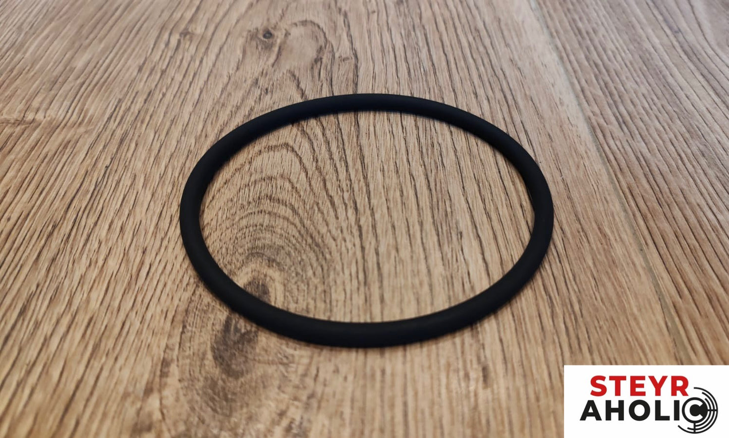 O-Ring 192303121001