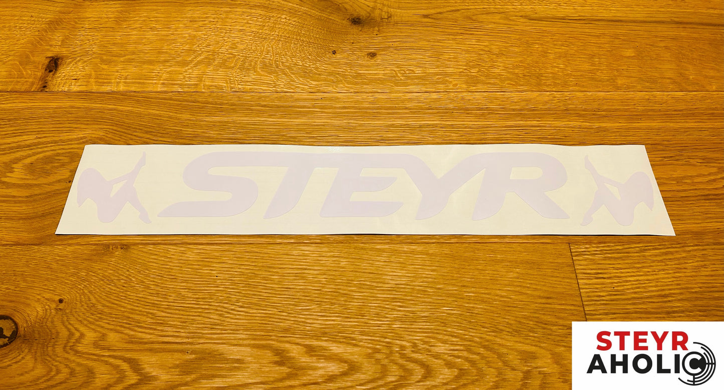 Aufkleber "Steyr Girls" groß