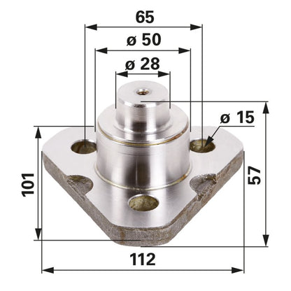 CARRARO Lagerbolzen unten 9968025