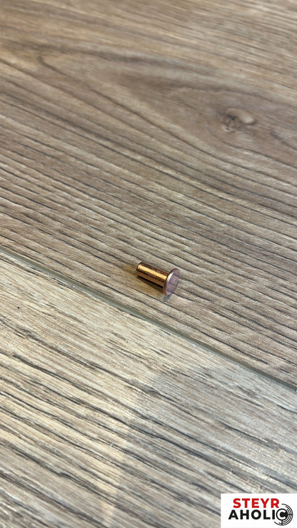 Kupfernieten 5 x 10 mm, 100 Stück