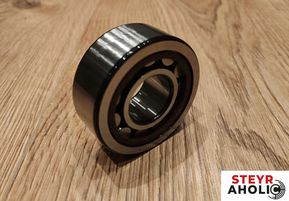 SKF Zylinderrollenlager 190003324415