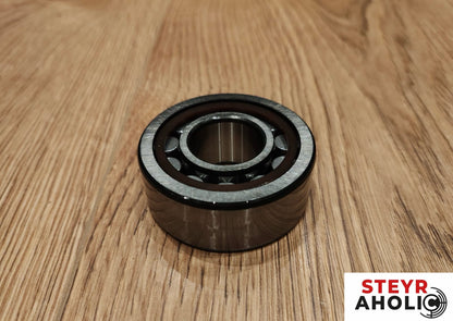 SKF Zylinderrollenlager 190003324415