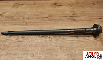 Eingangswelle 153700220009