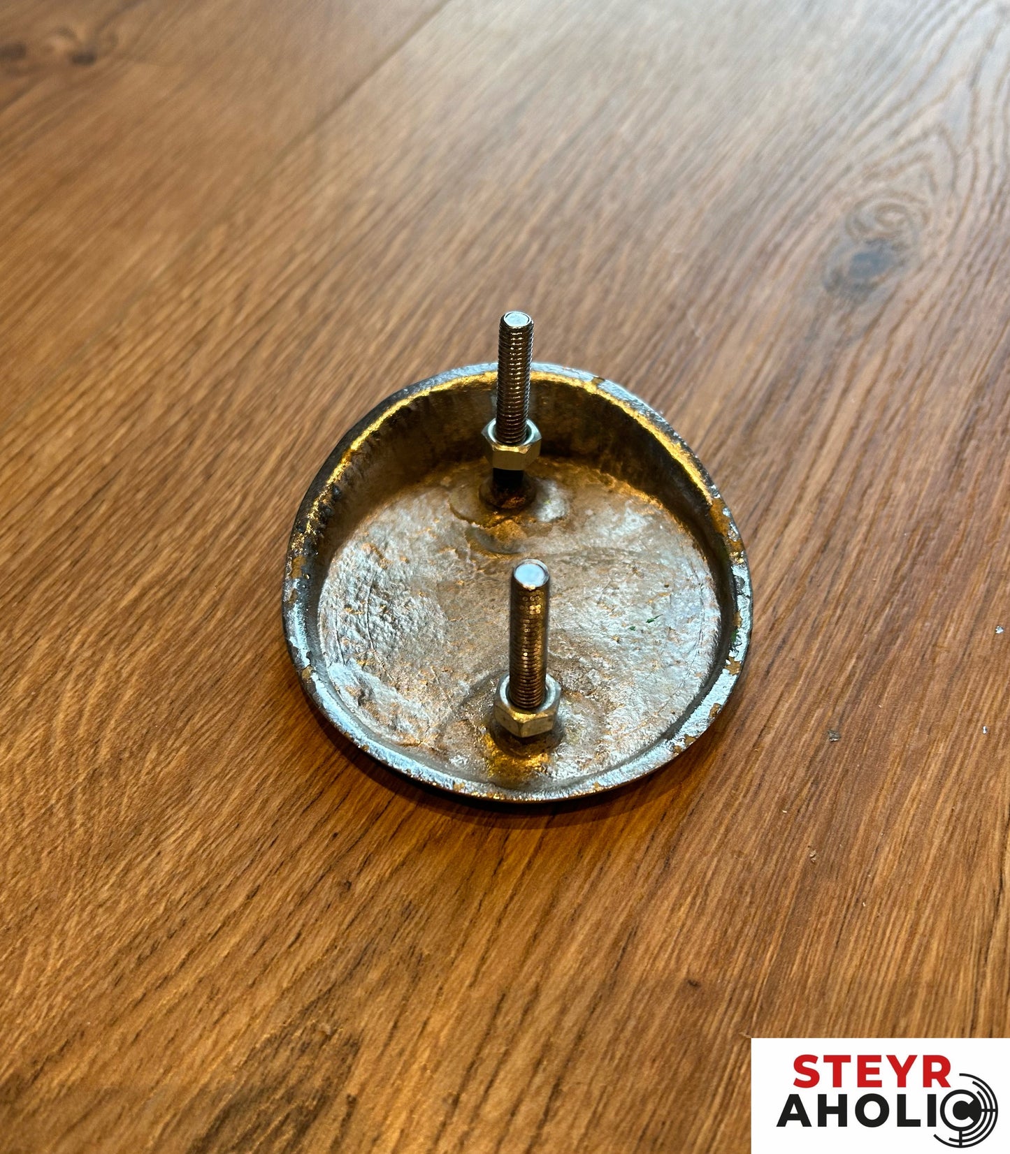 Typenschild Logo zu Steyr T180 / 180a / N180a