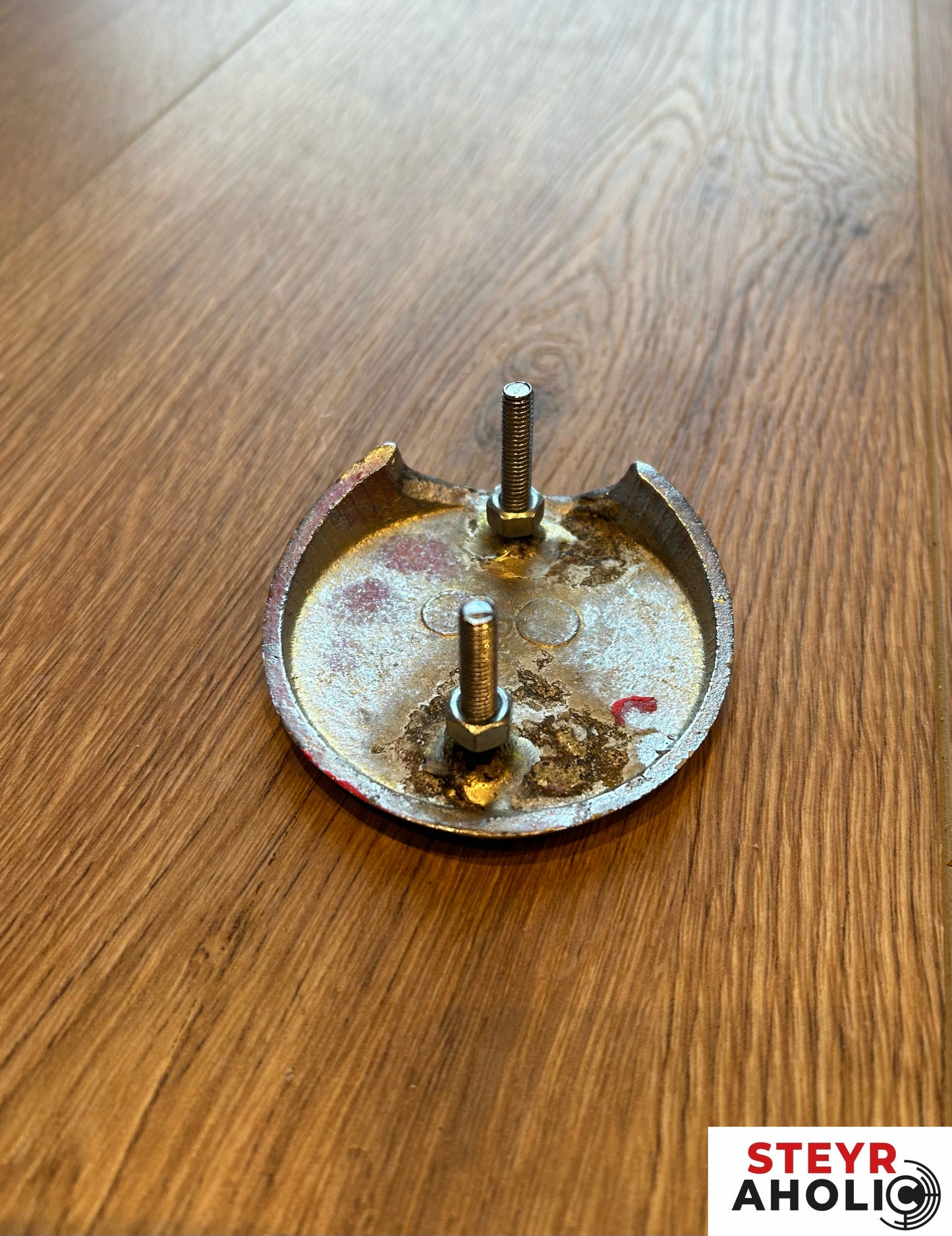 Typenschild Logo zu Steyr T86 / 188 / 190 / 288 / 290