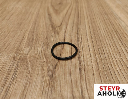 VITON O-Ring 137700279216