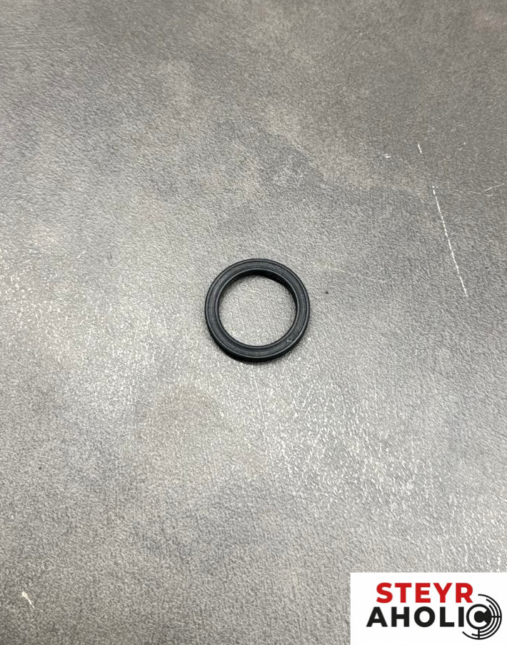 Original Dichtring 133700240065S Schwarz