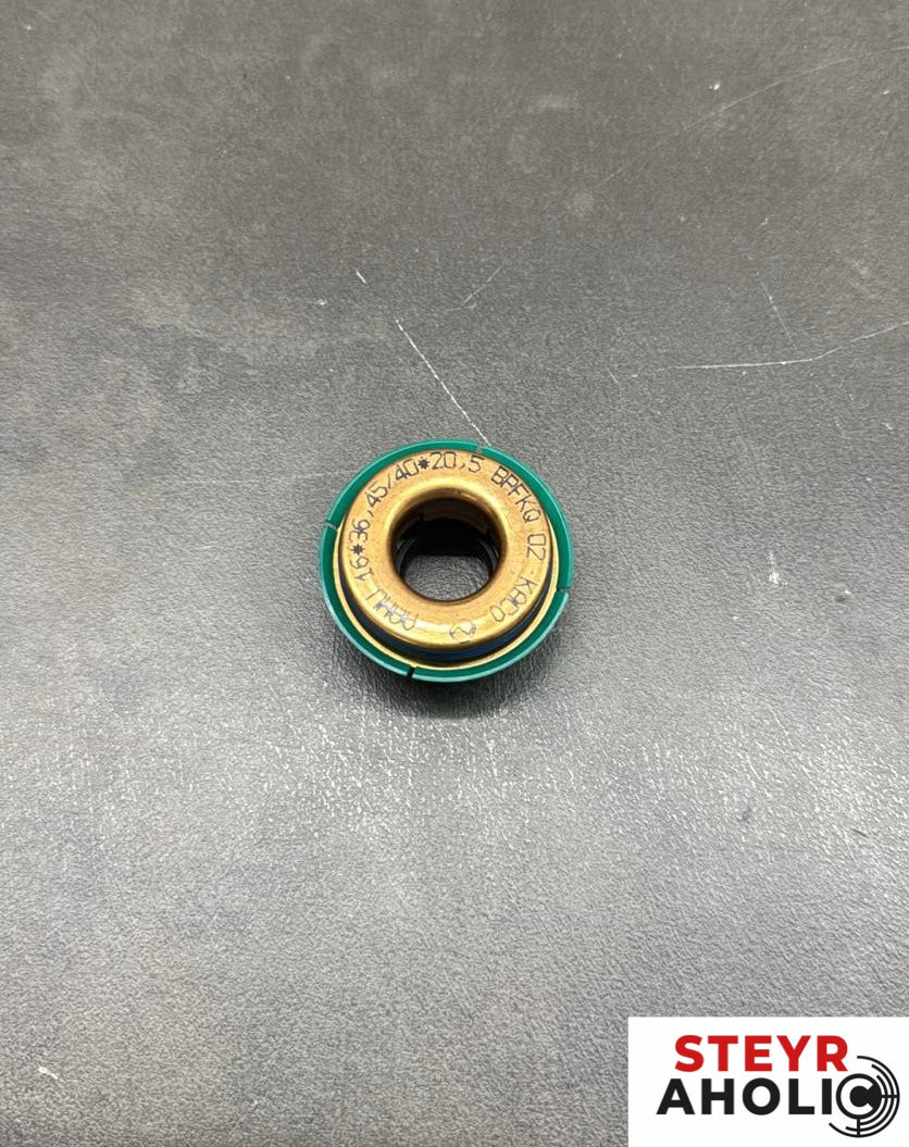 ORIGINAL Gleitring 131100060092