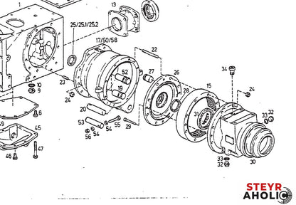 Wellendichtring Hinterachse, Allrad VITON 190003070017