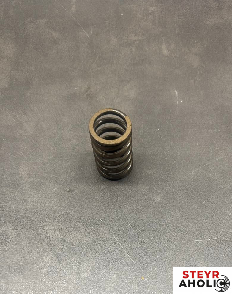 ORIGINAL Druckfeder 141100050701