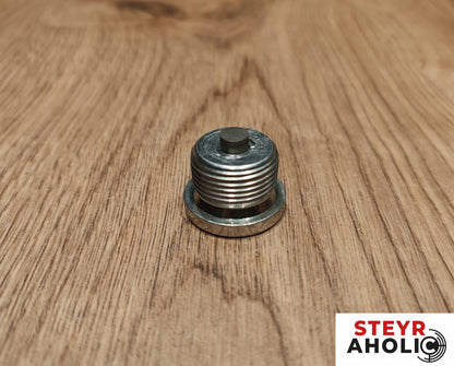 ZF Ölablassschraube mit Magnet M22 x 1,5 mm 190003960008