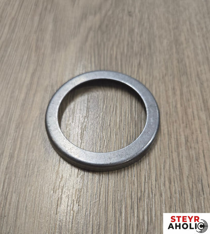 ZF Halteblech 3224345R1