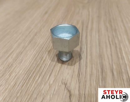 CARRARO Schmierschraube Carraro 20.29si , 20.25 407716A1
