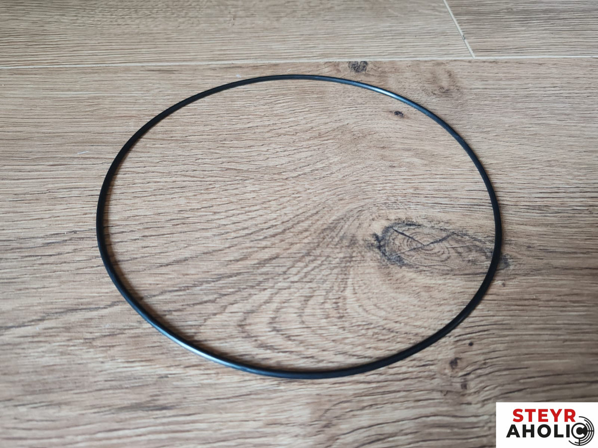 O-Ring 190003120686