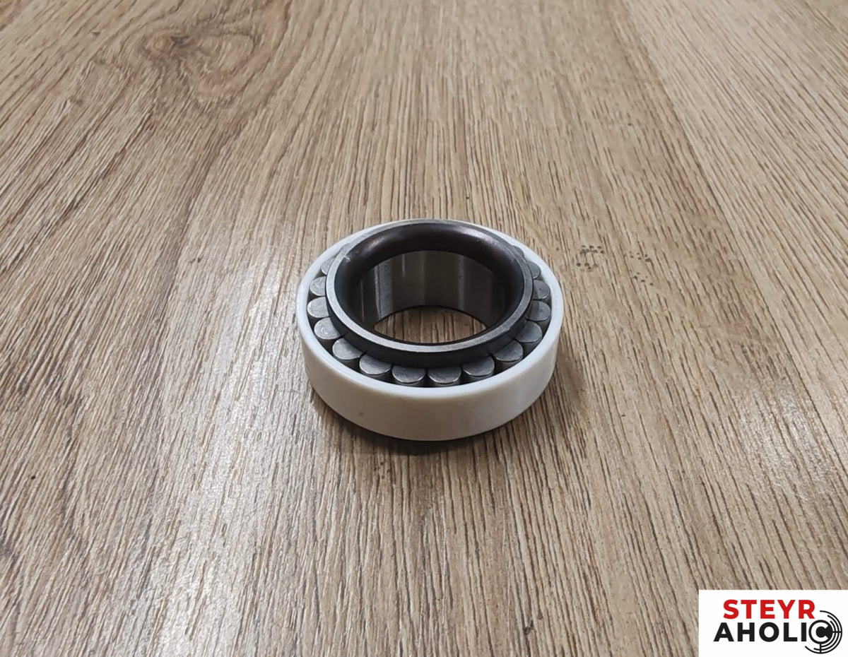 ZF Rollenlager / Kugellager 51533243