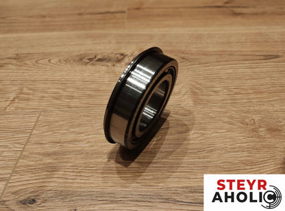CNH Zylinderrollenlager mit Nut 190003323641 
