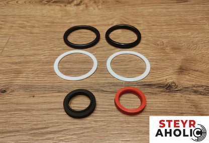 Dichtsatz für Lenkzylinder ZF-APL1351 + Hinterrad