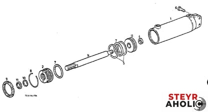 Dichtsatz für Lenkzylinder ZF-APL1351 + Hinterrad