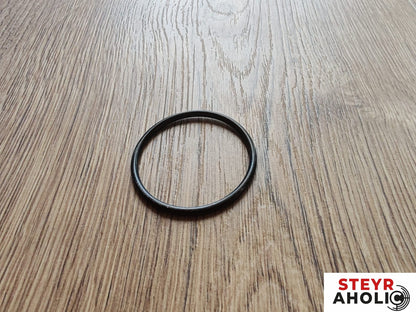 DANA SPICER O-Ring Triebling vorne 1-33-742-041