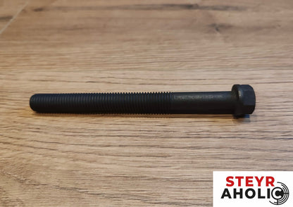 CNH Zylinderkopfschraube M14 anstelle von Steyr 131100040017