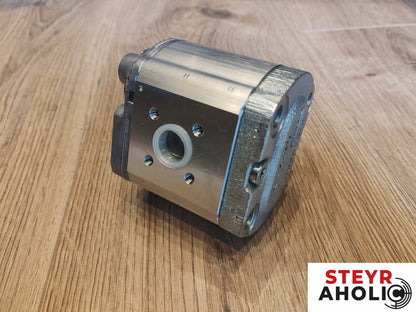 BOSCH Hydraulikpumpe 1610T130026